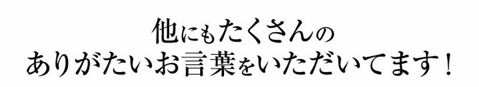 野菜洗い専用水 ベジセーフ